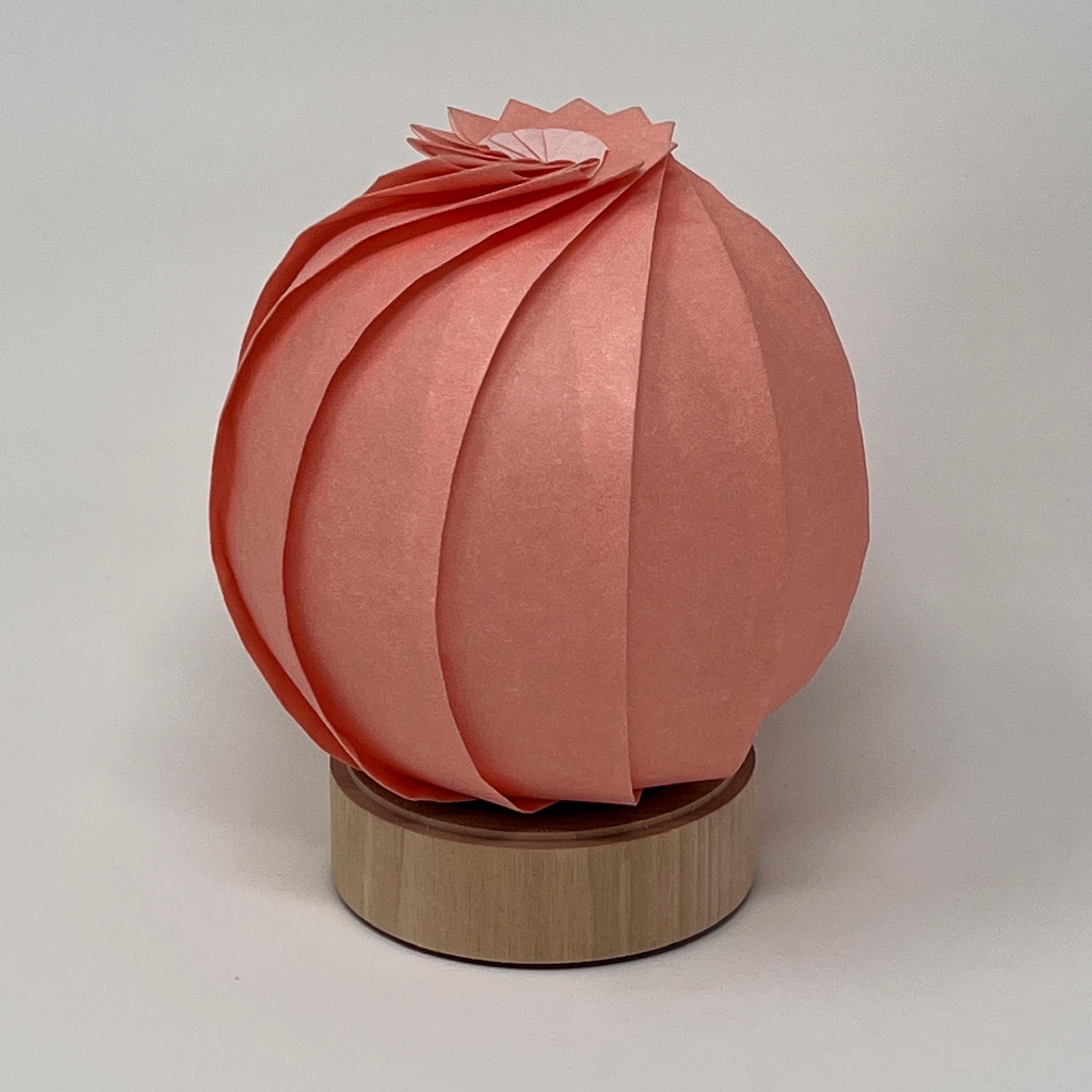 折灯り -満月- (桃) | 5枚目