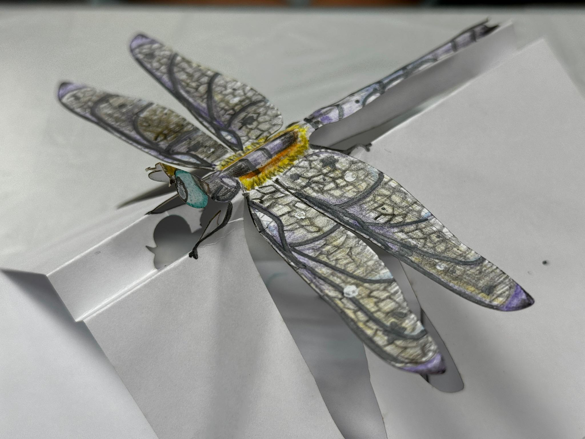 立体ぬりえ (昆虫6種) | 10枚目