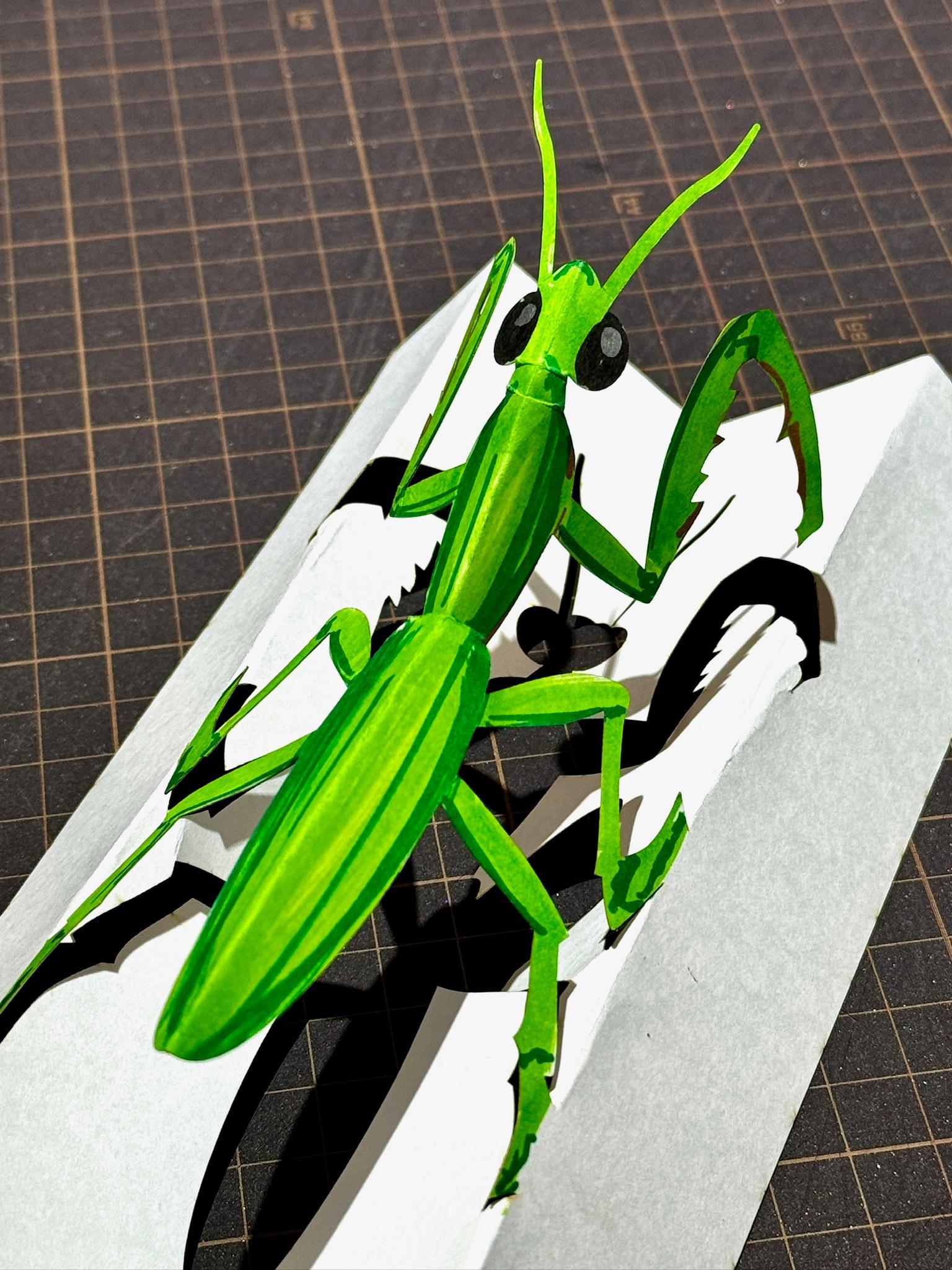 立体ぬりえ (昆虫6種) | 13枚目