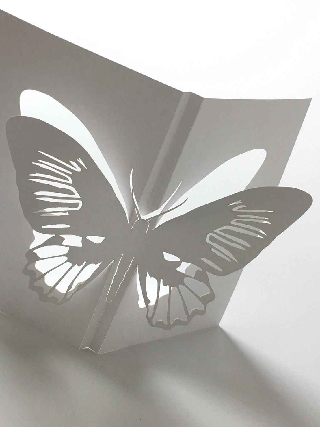 立体ぬりえ (昆虫6種) | 2枚目