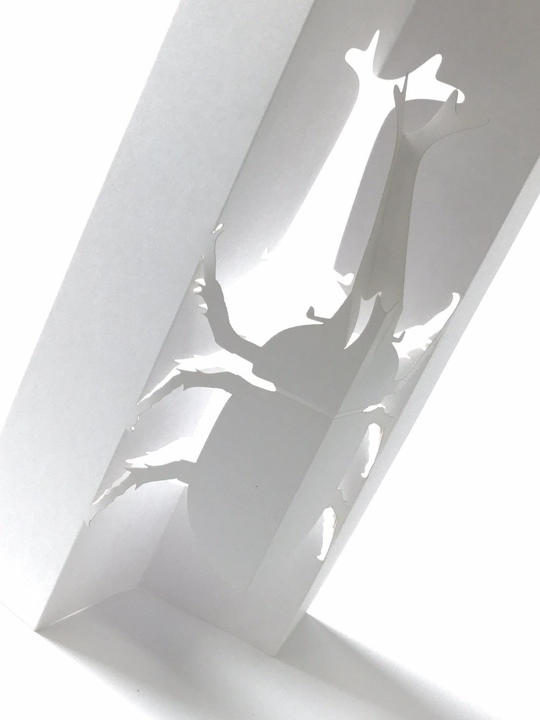 立体ぬりえ (昆虫6種) | 5枚目